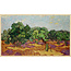 Wandkraft Art Facsimile 001 - Olijfbomen door Vincent van Gogh op Forex met lijst