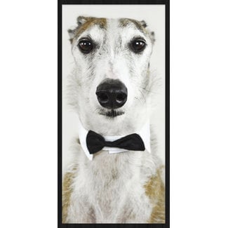 Wandkraft Wandkraft Faces 001 - Italiaanse Windhond