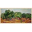 Wandkraft Art Facsimile 001 - Olijfbomen door Vincent van Gogh op Forex met lijst