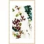 Wandkraft Art Crafts 001