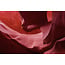 Wandkraft Art of Nature 006
