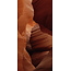 Wandkraft Art of Nature 007