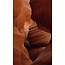Wandkraft Art of Nature 007