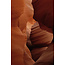 Wandkraft Art of Nature 007