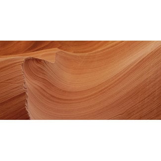 Wandkraft Art of Nature 008