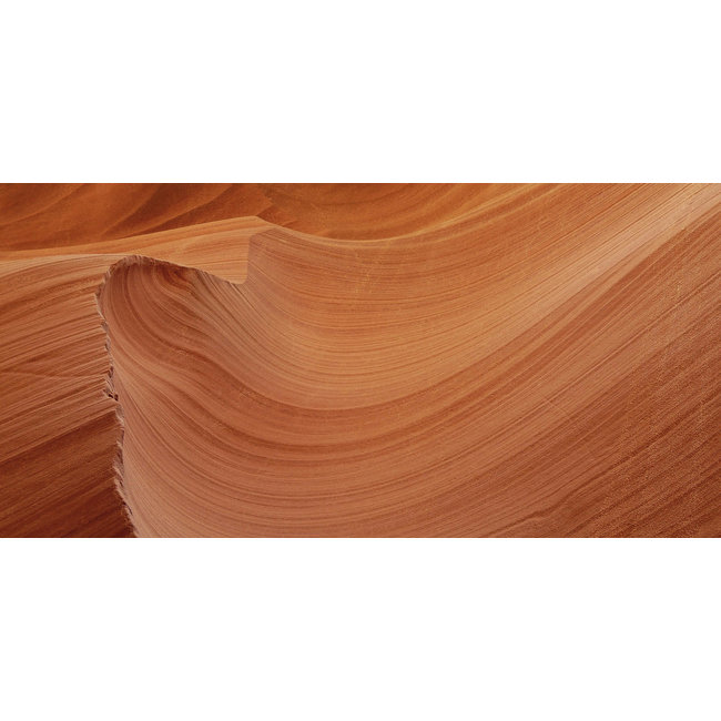 Wandkraft Art of Nature 008