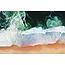 Wandkraft Art of Nature 011