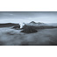 Wandkraft Art of Nature 015