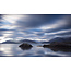 Wandkraft Art of Nature 017