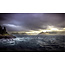 Wandkraft Art of Nature 018