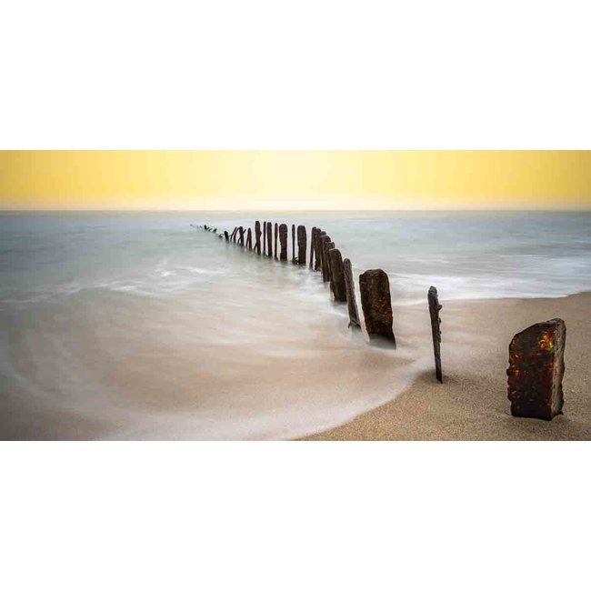 Wandkraft Art of Nature 040