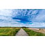 Wandkraft Art of Nature 044