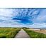 Wandkraft Art of Nature 044