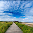 Wandkraft Art of Nature 044