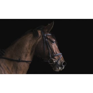 Wandkraft At the Farm 001