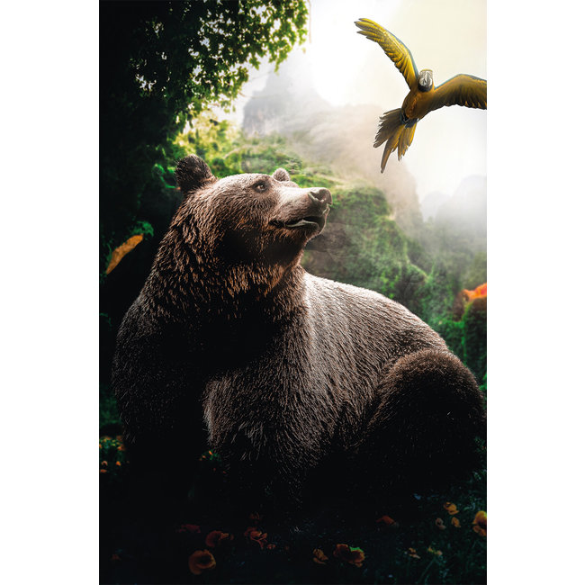Wandkraft Bear