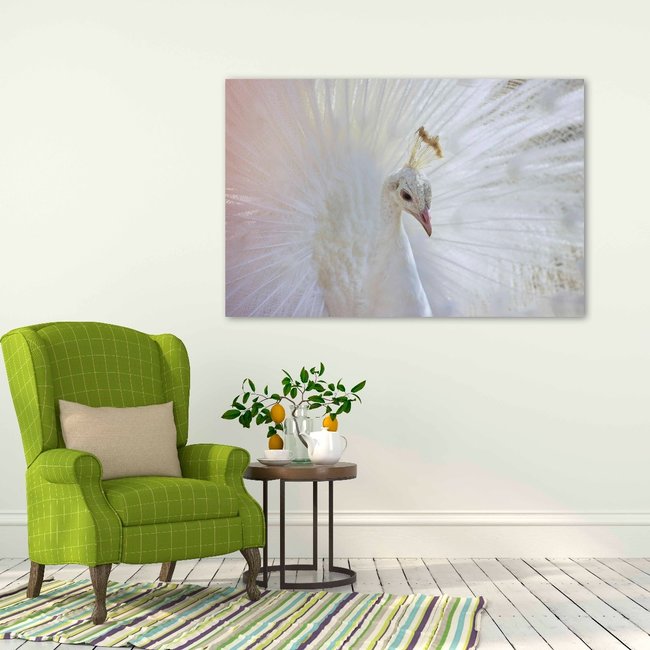Wandkraft Bright Wings 031