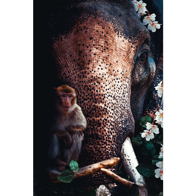 Wandkraft Elephant