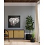 Wandkraft Elephant with Flowers - 74 x 74 cm