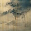 Wandkraft European Wildlife 006