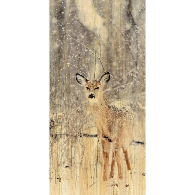 Wandkraft European Wildlife 007