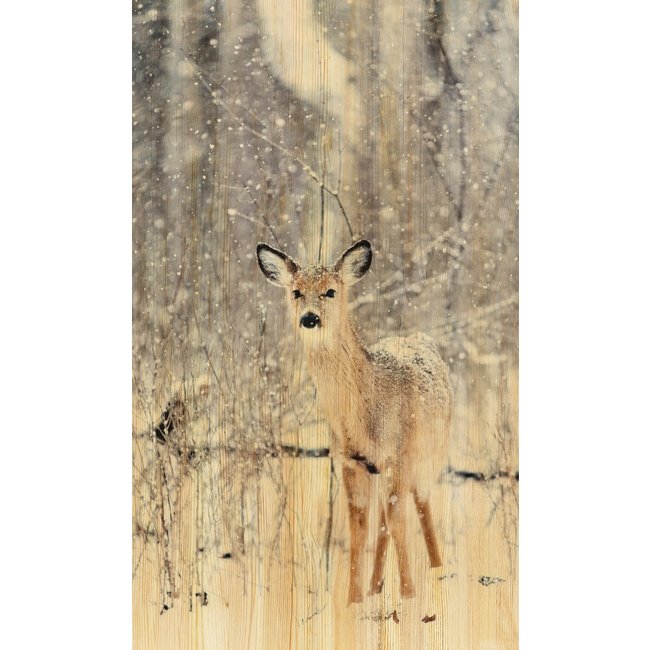 Wandkraft European Wildlife 007