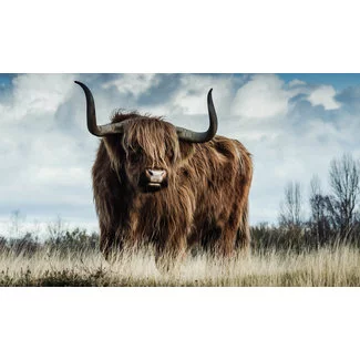 Wandkraft European Wildlife 008