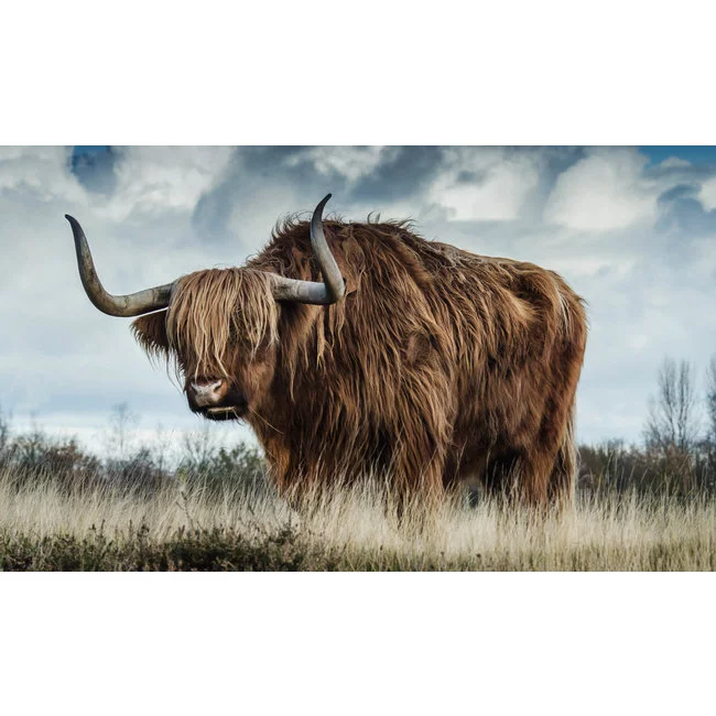 Wandkraft European Wildlife 009