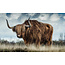 Wandkraft European Wildlife 009