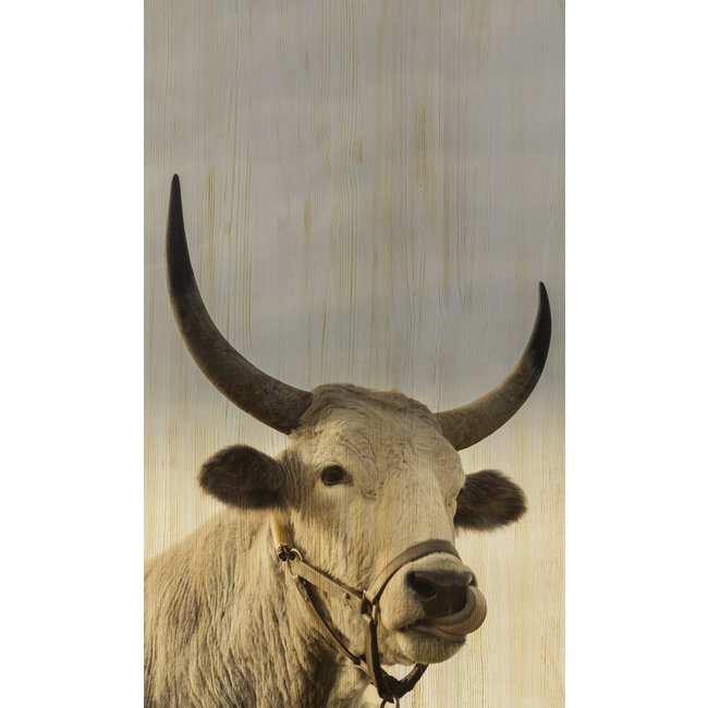 Wandkraft European Wildlife 011
