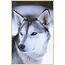 Wandkraft European Wildlife 012