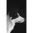 Wandkraft Faces 005