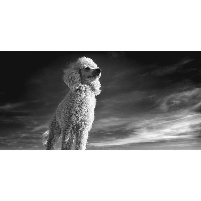 Wandkraft Faces 012