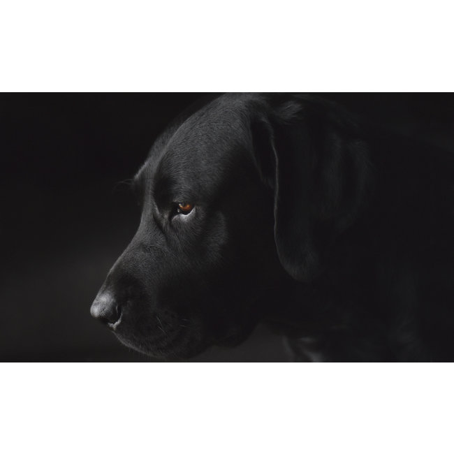 Wandkraft Faces 017