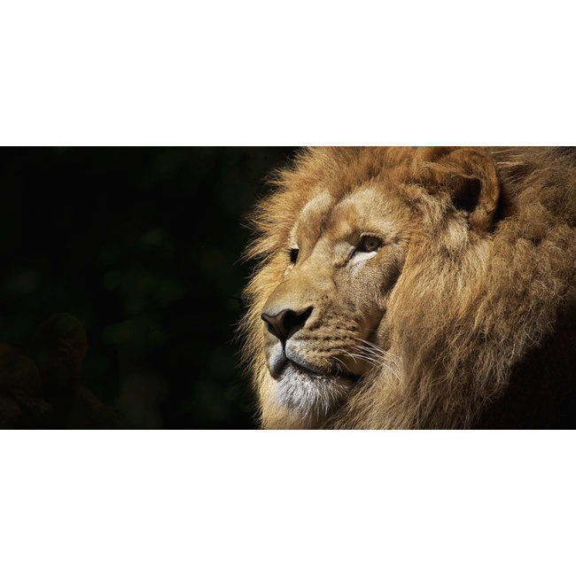 Wandkraft Faces 022
