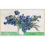 Wandkraft Irises door Vincent van Gogh