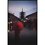 Wandkraft Land of the Rising Sun 033
