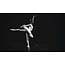 Wandkraft Moves 006