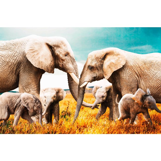 Wandkraft The Elephant Family