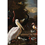 Wandkraft The floating feather by Melchior d'Hondecoeter