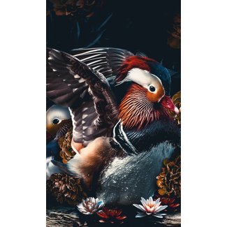 Wandkraft The Mandarin Ducks