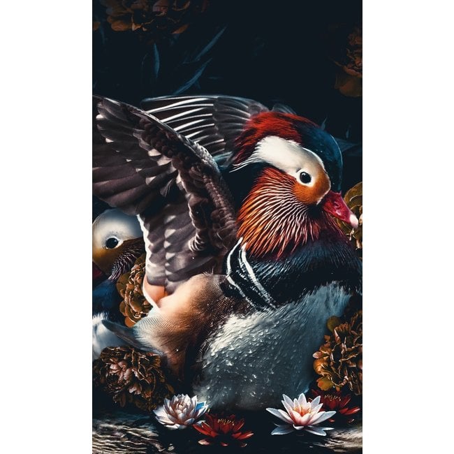 Wandkraft The Mandarin Ducks