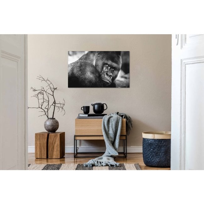Wandkraft Wildlife 016