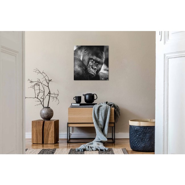 Wandkraft Wildlife 016