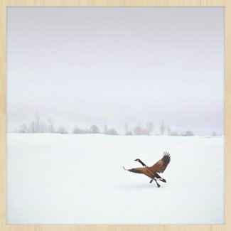 Wandkraft Winter Wonders 000 - Wandkraft