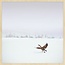 Wandkraft Wandkraft Winter Wonders 000 - Wilde gans in winterlandschap