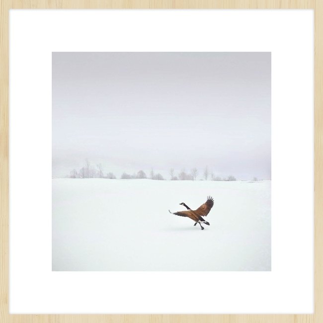Wandkraft Winter Wonders 000