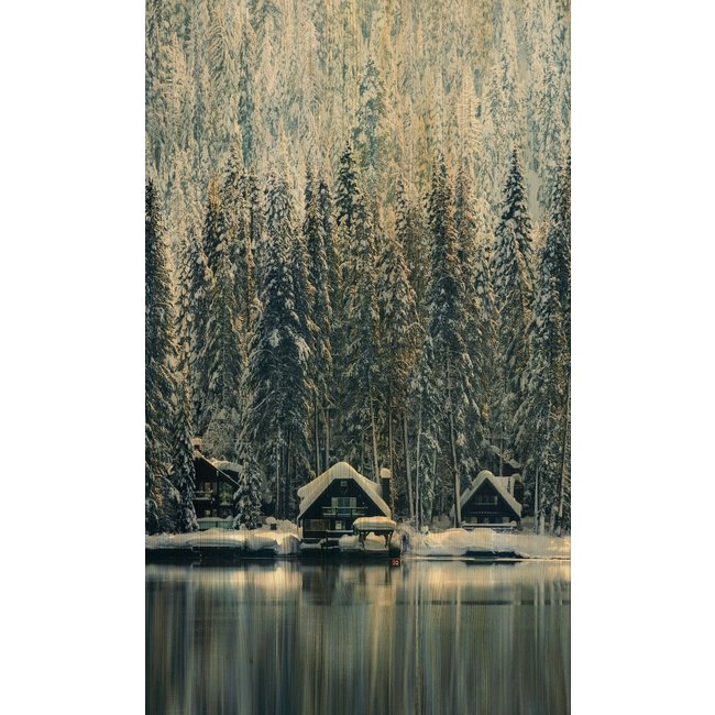 Wandkraft Winter Wonders 001