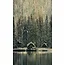 Wandkraft Winter Wonders 001