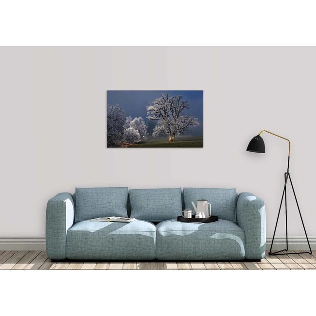 Wandkraft Winter Wonders 007
